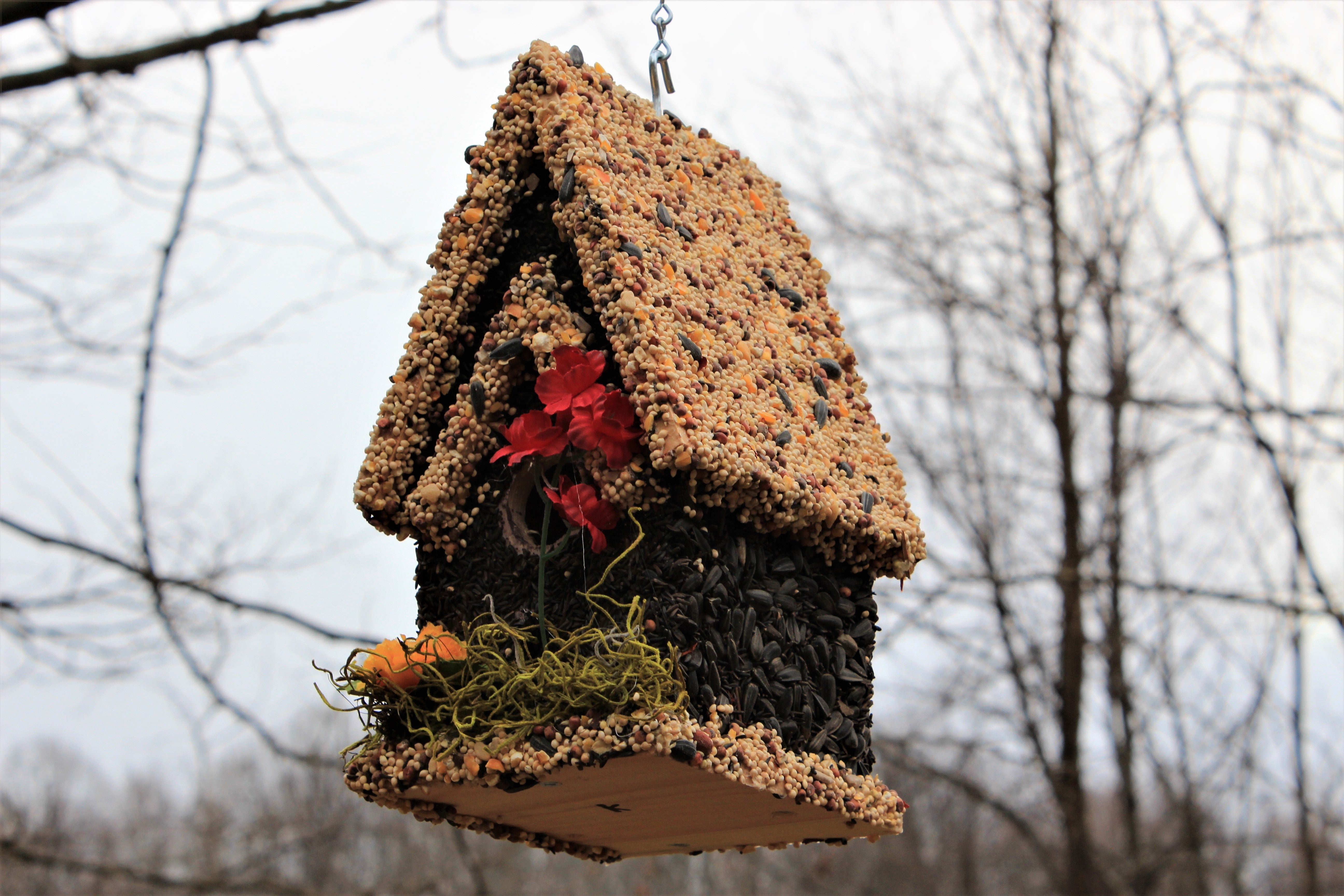 Edible Bird Feeder - Light Roof Tall Birdhouse